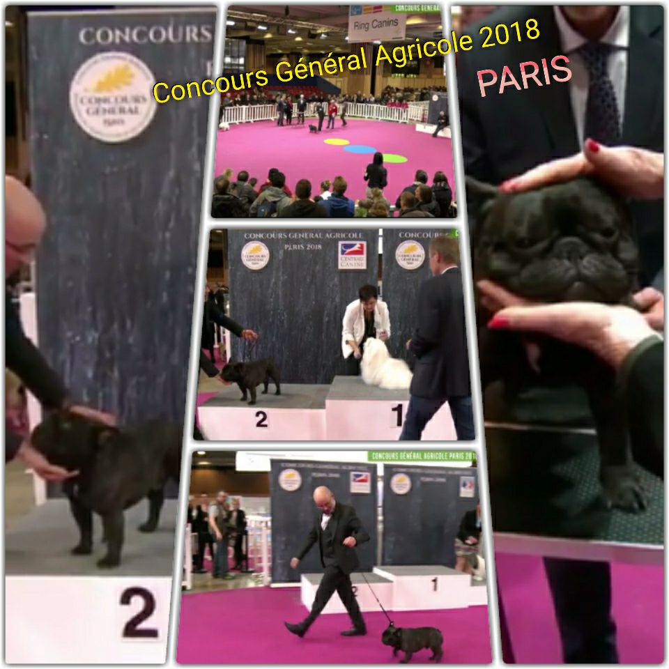 LOVE 2ÈME PRIX AU SALON DE L' AGRICULTURE 2018